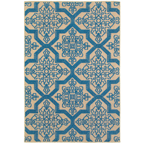 Cosima Collection Pattern 2541M 6x9 Rug